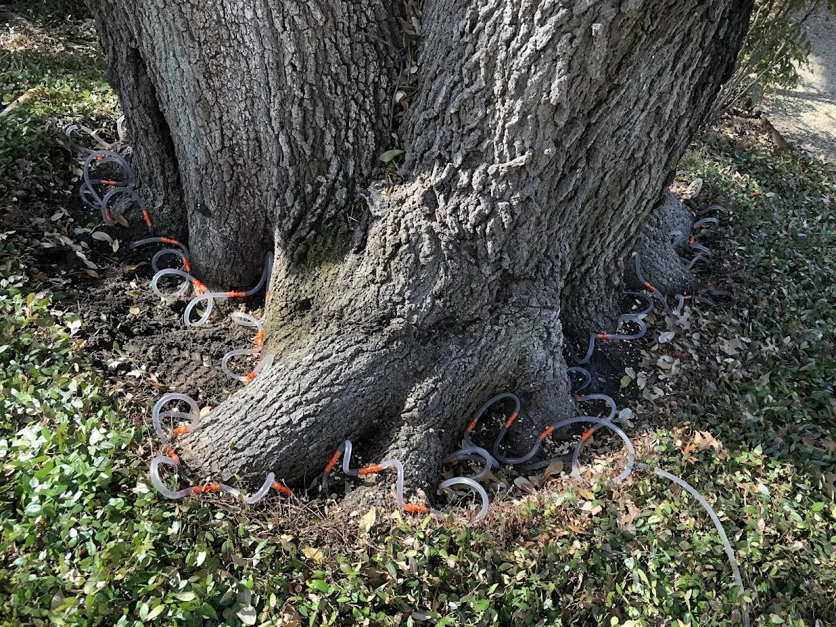 Detailed Shrub and Hedge Trimming job site in Grove